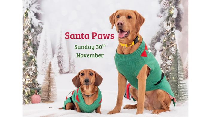 Santa Paws at Craigtoun 