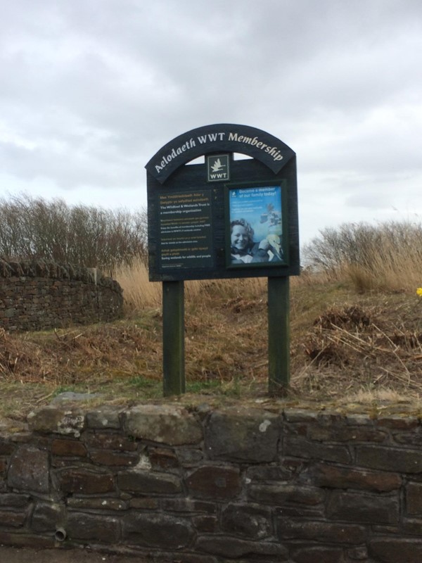 Picture of WWT Llanelli Wetlands - Sign