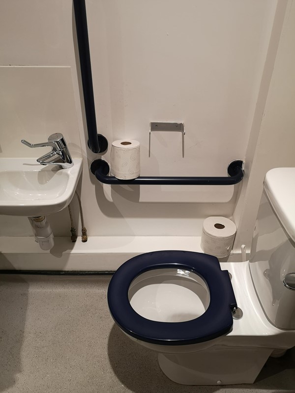 Disabled toilet