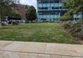 image of grass