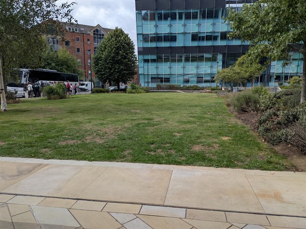 image of grass