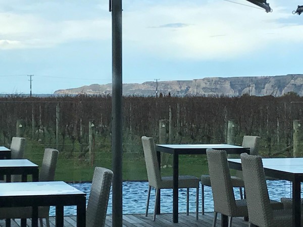 Over looking the vines towards Cape Kidnappers cliff.