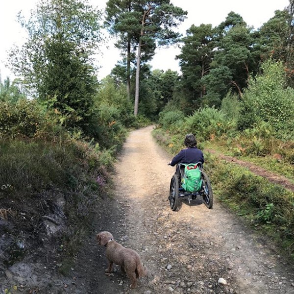 Picture of Hindhead Commons and the Devil's Punch Bowl