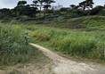 Image of a pathway