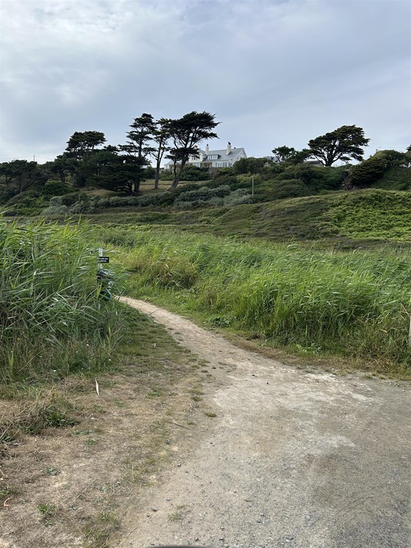 Image of a pathway