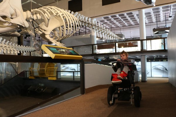 Picture of Iziko Museum - Bones