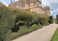 Cloud hedges in front of Montacute House