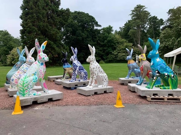 The hares outside front door!