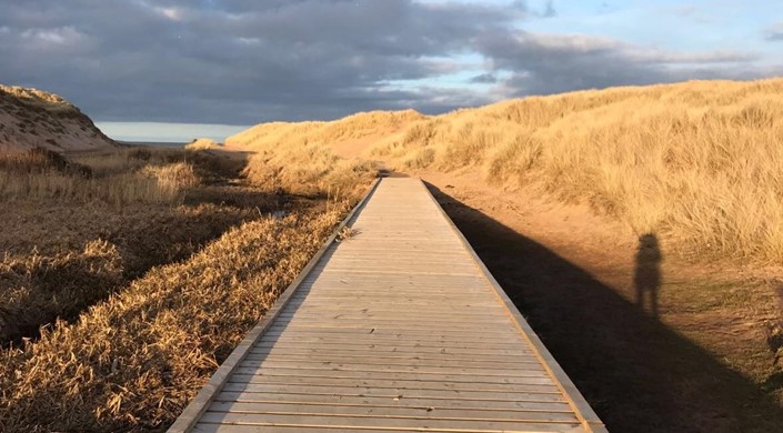 Balmedie Country Park