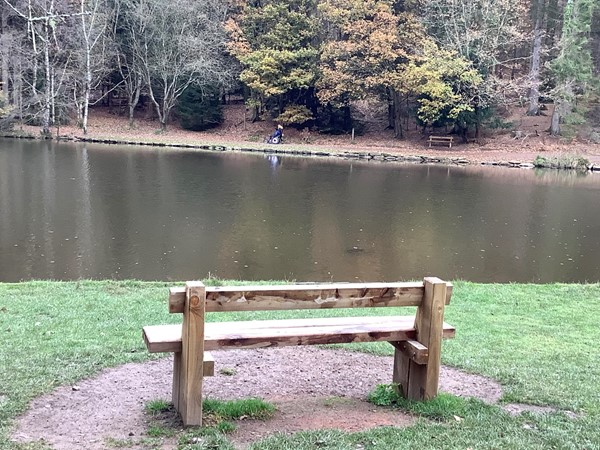 Image for review "Disabled Travellers visiting hot spot woodland scenery"