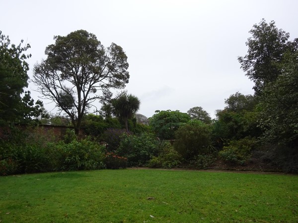 Picture of a lawn surrounded by trees