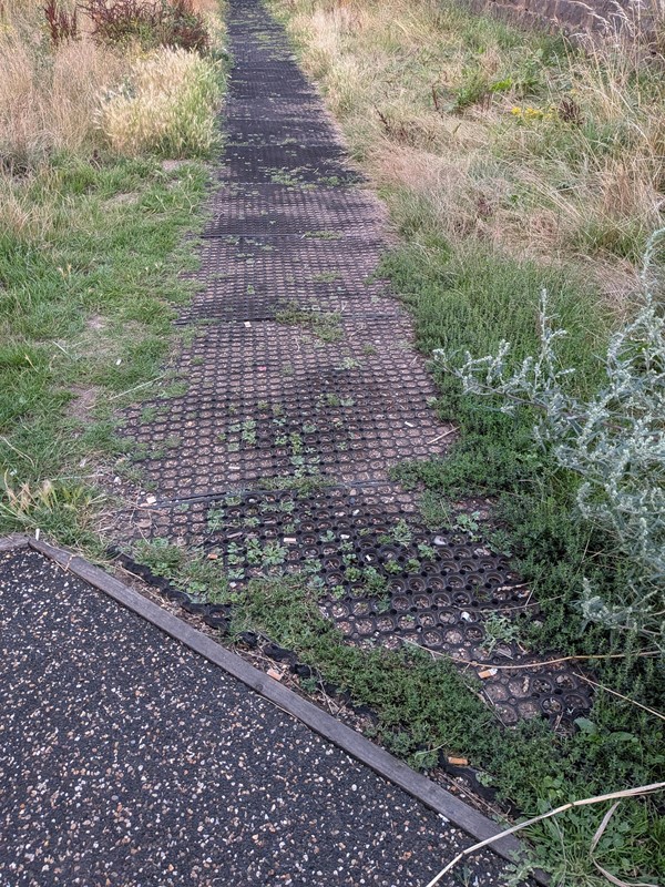 image of uneven path in park