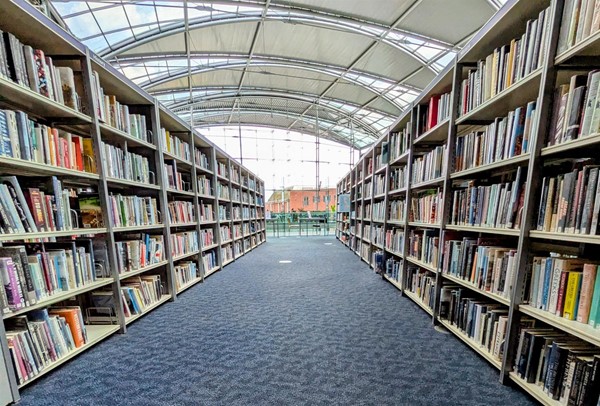 Image of library shelves