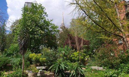 The Phoenix Garden