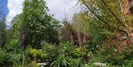 The Phoenix Garden