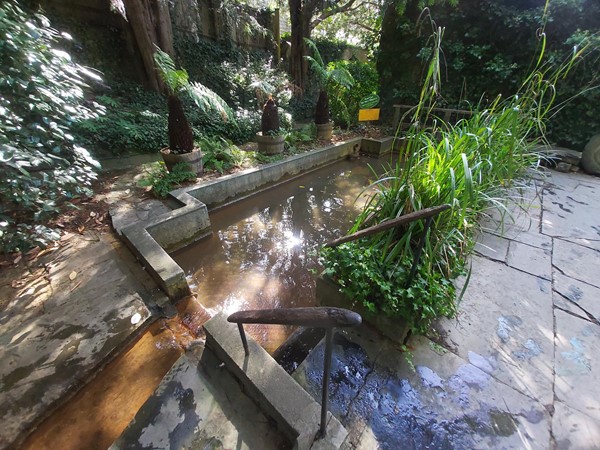 Garden pond