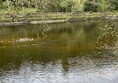 Image of Low Barns Nature Reserve