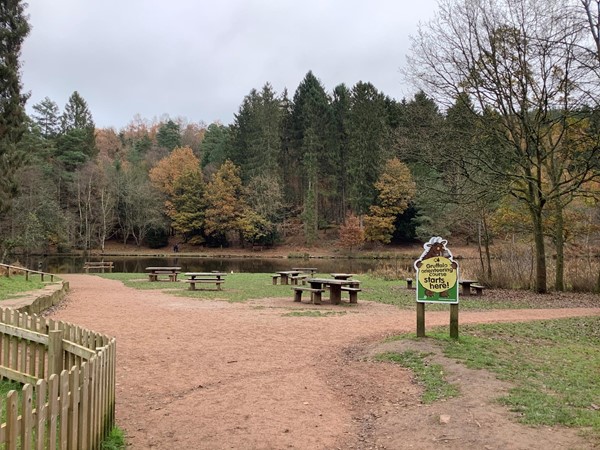 13 main path