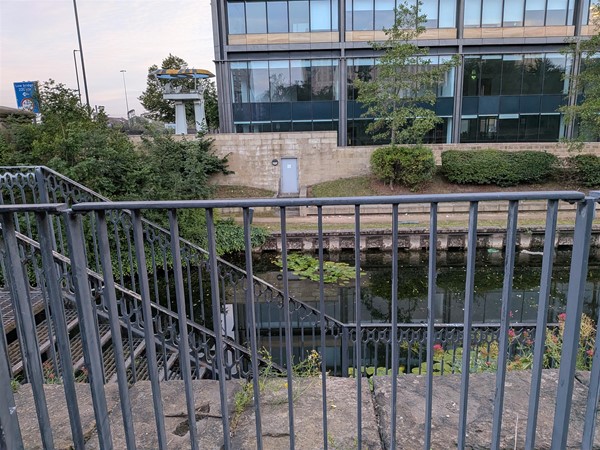 image of staircase down to the canal walkway Whitehall Road entrance