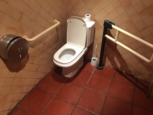 Photo of the toilet in El Cafeto.