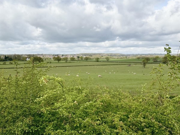 Image of a field