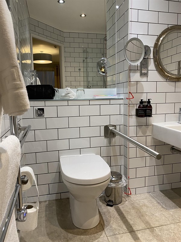 toilet and grab rails