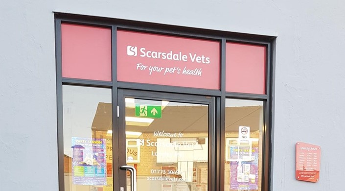 Scarsdale Vets