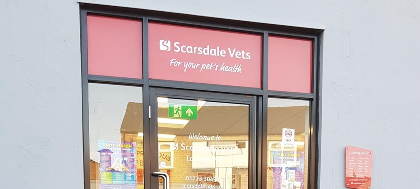 Scarsdale Vets