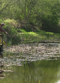 Potteric Carr Nature Reserve