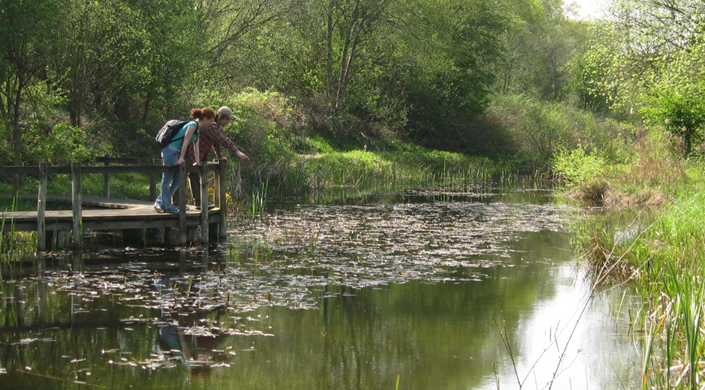 Potteric Carr Nature Reserve