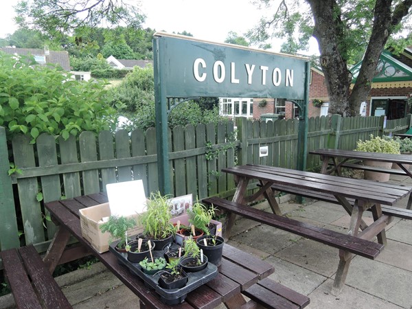 Colyton Tram Station