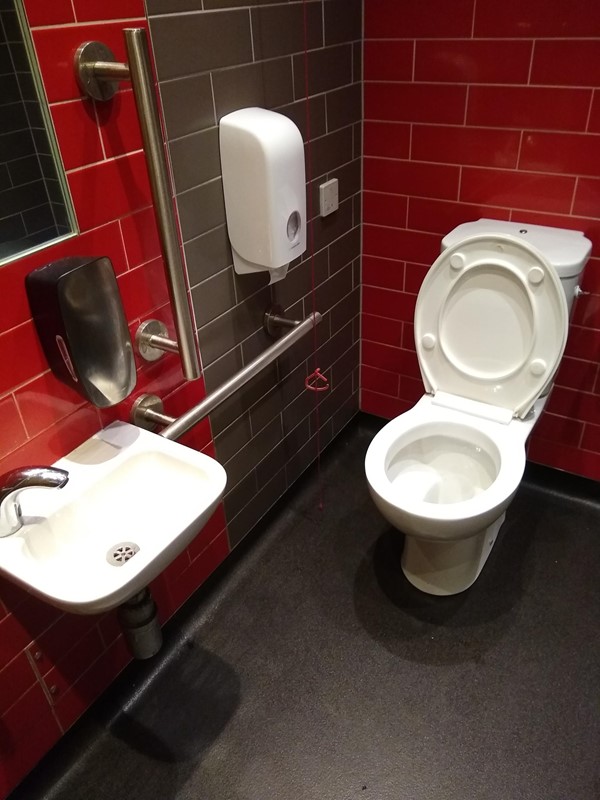 Accessible Toilet