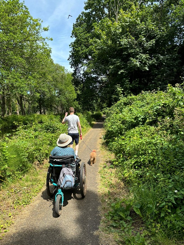 Image of people walking and driving their wheelchair on a pathway.