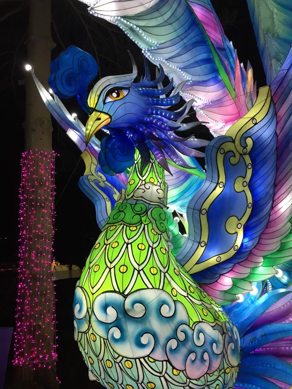 Peacock