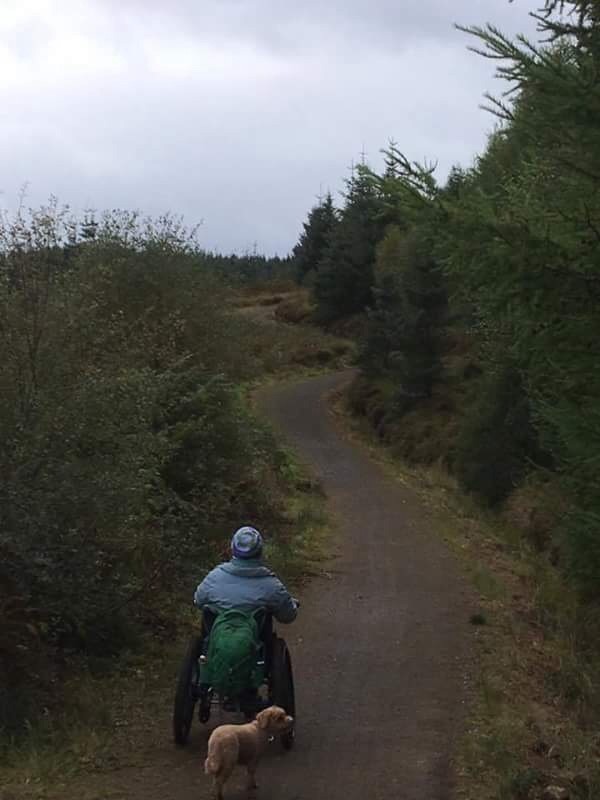 Picture of Kielder Water and Forest Park