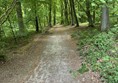 Image of a forest path