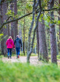 Glenmore Forest Park - including Loch Morlich Beach