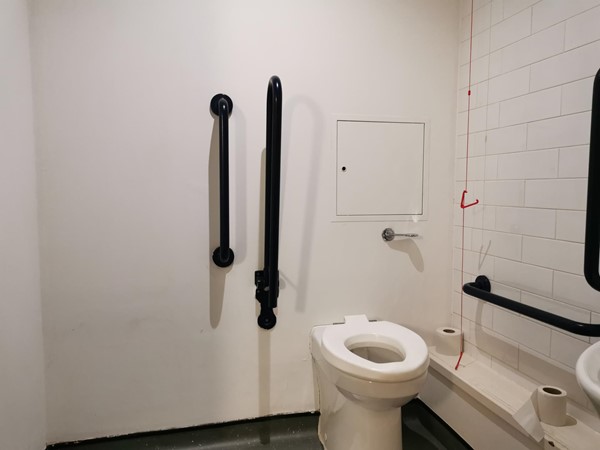 Toilet with grab rails