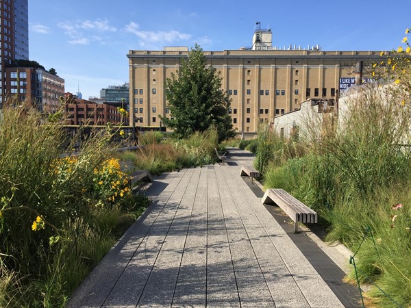 Picture of The High Line in New York