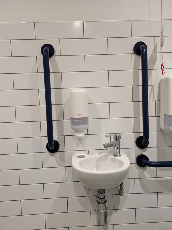 Image of small sink and grabrails in the accessible toilet