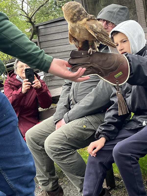 Image of a person with an owl