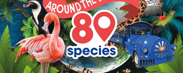 Around the World in 80 Species article image