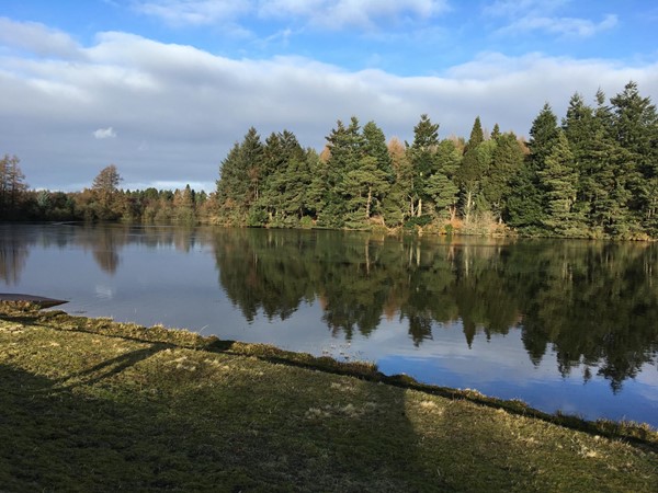 Views across the water