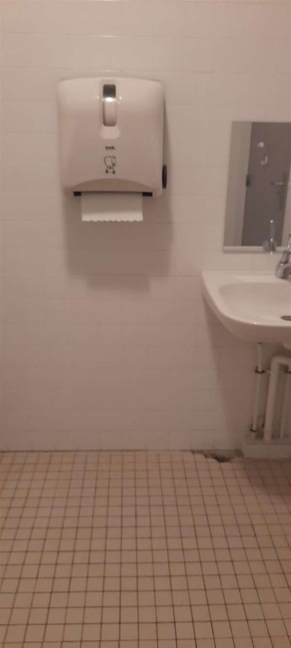 Image of an accessible toilet