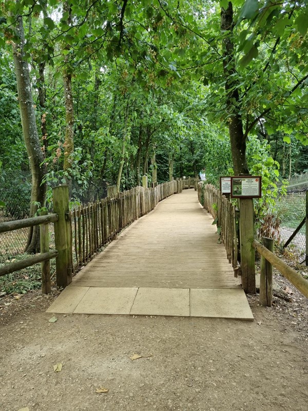 Wheelchair accessible path