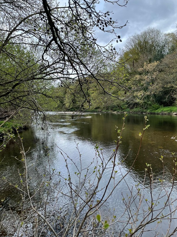 Image of Low Barns Nature Reserve