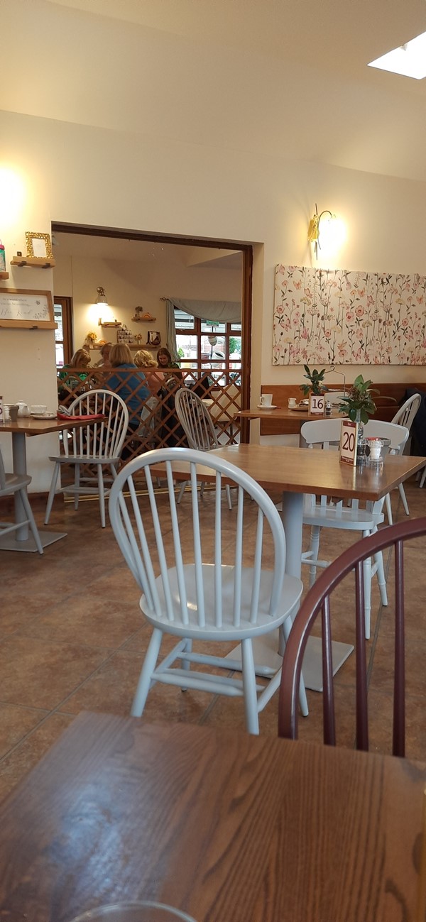 Picture of the cafe interior