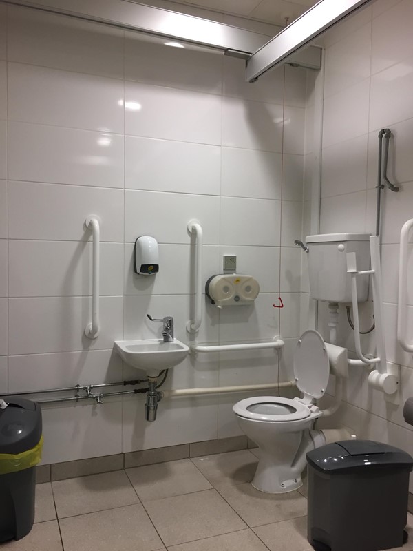 Accessible loo