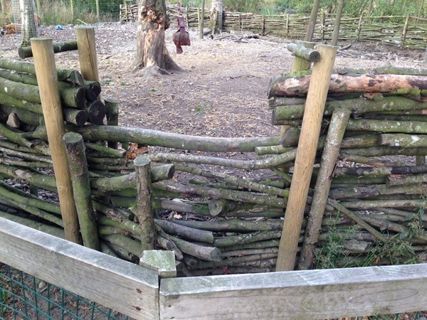 Picture of Blair Drummond Safari Park - Enclosure