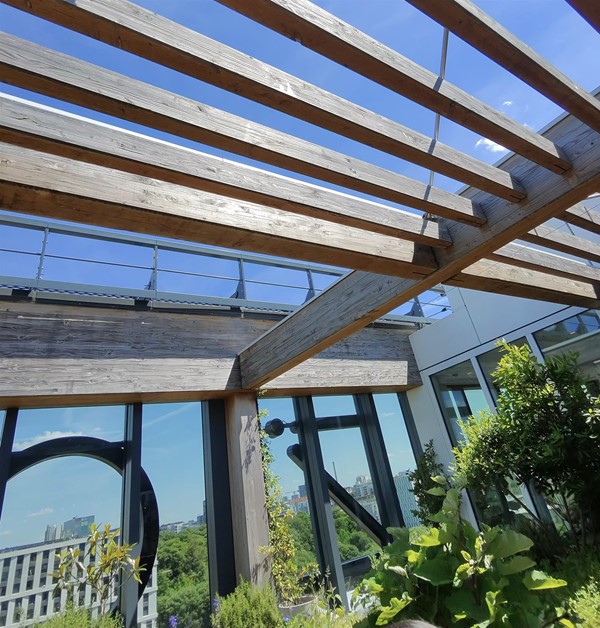 Rooftop terrace